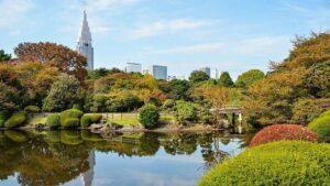 Best Places to Visit in Tokyo