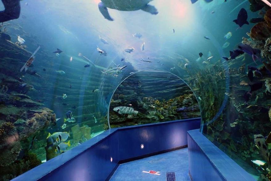 The Sharjah Aquarium